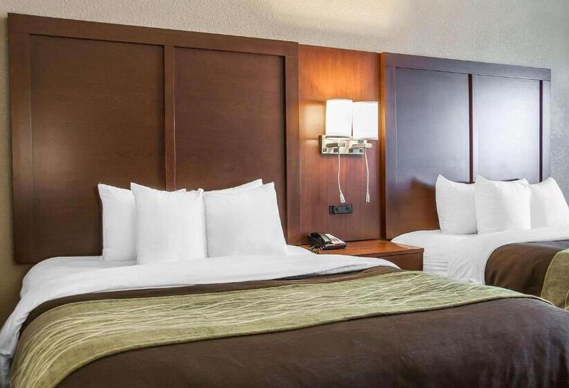 اتاق استاندارد اینتریور, Comfort Inn
