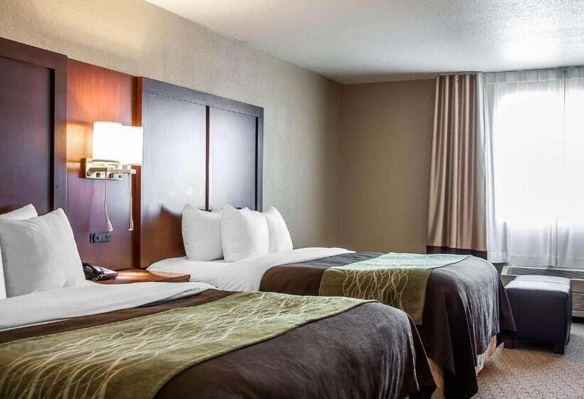 اتاق استاندارد اینتریور, Comfort Inn