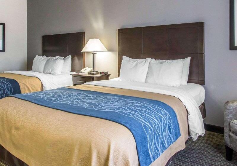 اتاق استاندارد با تخت بزرگ, Comfort Inn