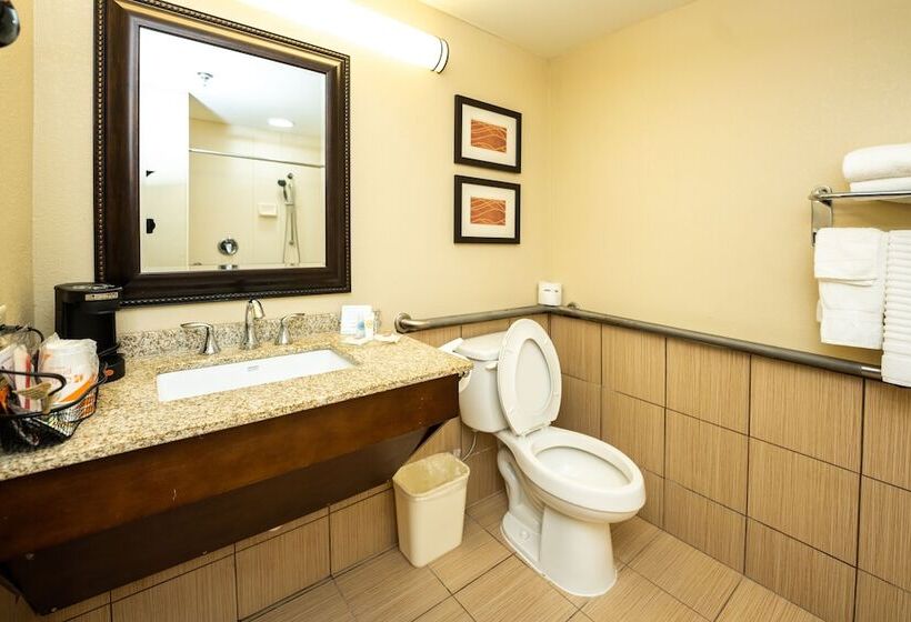 اتاق استاندارد با تخت دوبل برای معلولان, Comfort Inn Opelika  Auburn