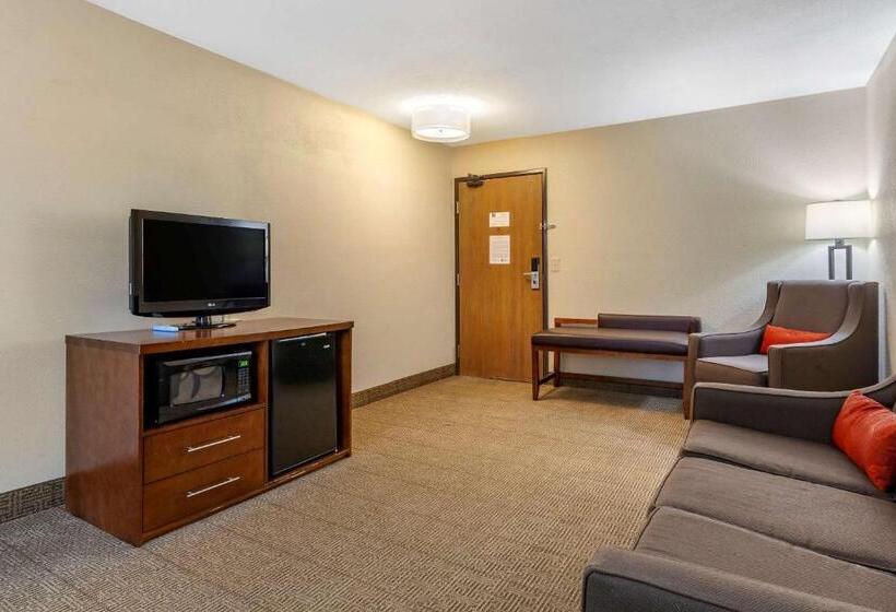سوئیت با تخت بزرگ, Comfort Inn