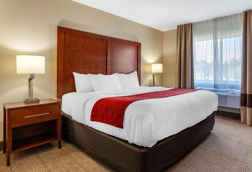 سوئیت با تخت بزرگ, Comfort Inn