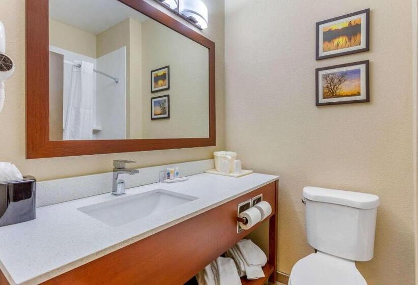 اتاق استاندارد با تخت بزرگ, Comfort Inn Rockford Near Casino District