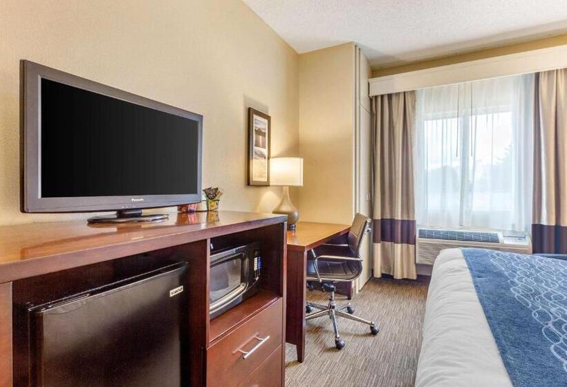 اتاق استاندارد با تخت بزرگ, Comfort Inn Rockford Near Casino District