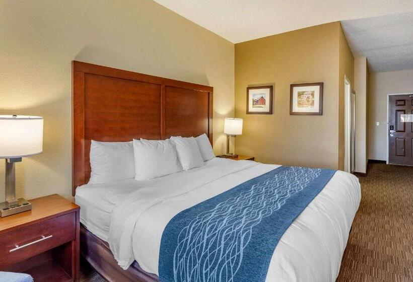 Standard Room King Size Bed, Comfort Inn Rockford Near Casino District