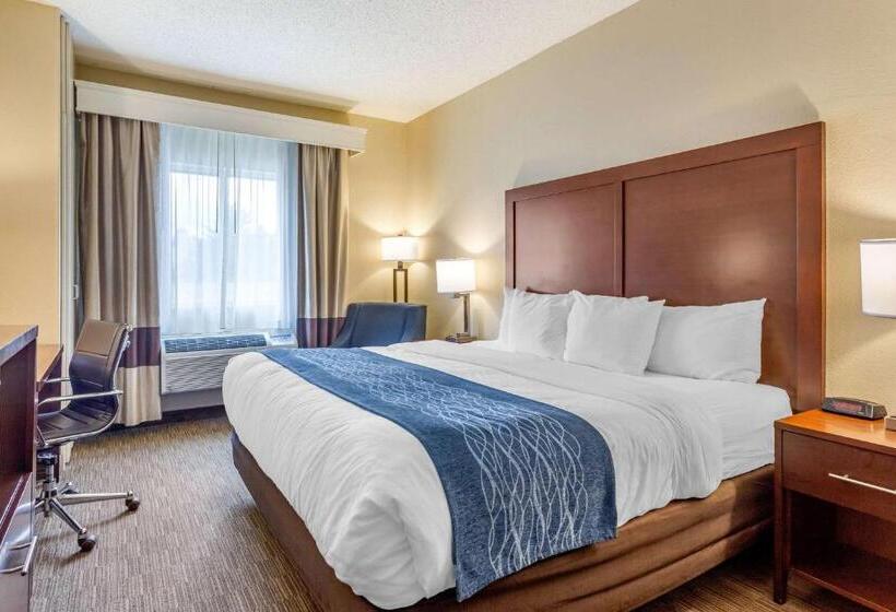 Standard Room King Size Bed, Comfort Inn Rockford Near Casino District