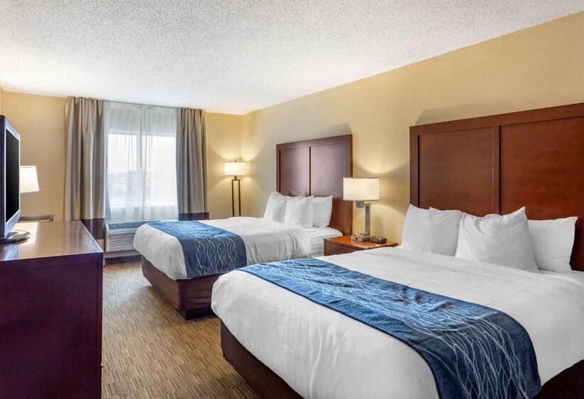 اتاق استاندارد, Comfort Inn Rockford Near Casino District