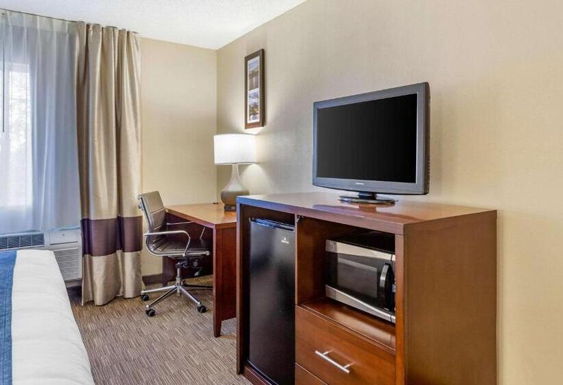 Suite King Bed, Comfort Inn Rockford Near Casino District