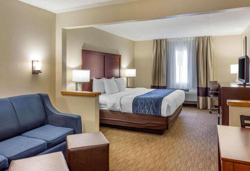 Suite Letto King, Comfort Inn Rockford Near Casino District