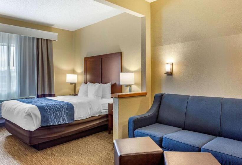 Suite, Comfort Inn Rockford Near Casino District