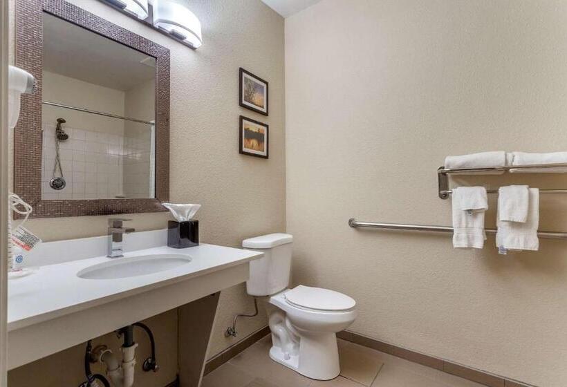 اتاق استاندارد برای معلولان, Comfort Inn Rockford Near Casino District