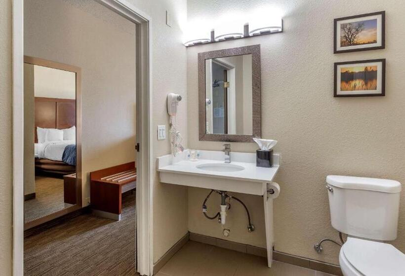 Standard Room Adapted for people with reduced mobility, Comfort Inn Rockford Near Casino District