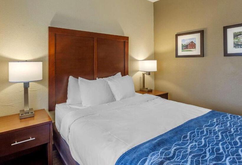 Camera Standard Accessibile ai Disabili, Comfort Inn Rockford Near Casino District