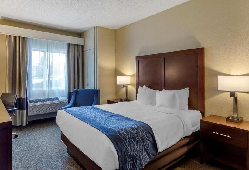 Camera Standard Accessibile ai Disabili, Comfort Inn Rockford Near Casino District