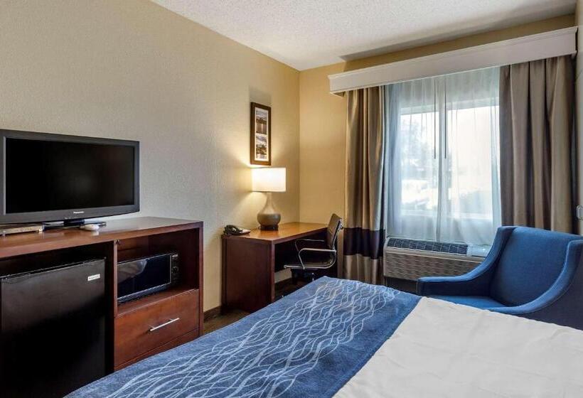 Standard Room Adapted for people with reduced mobility, Comfort Inn Rockford Near Casino District