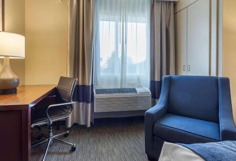 Habitació Estàndard Adaptada per a Discapacitats, Comfort Inn Rockford Near Casino District