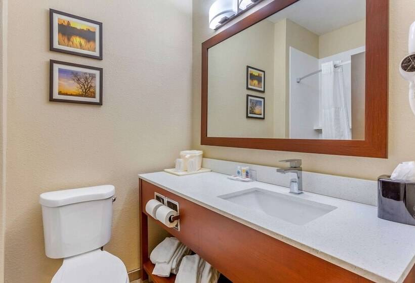 سوییت, Comfort Inn Rockford Near Casino District