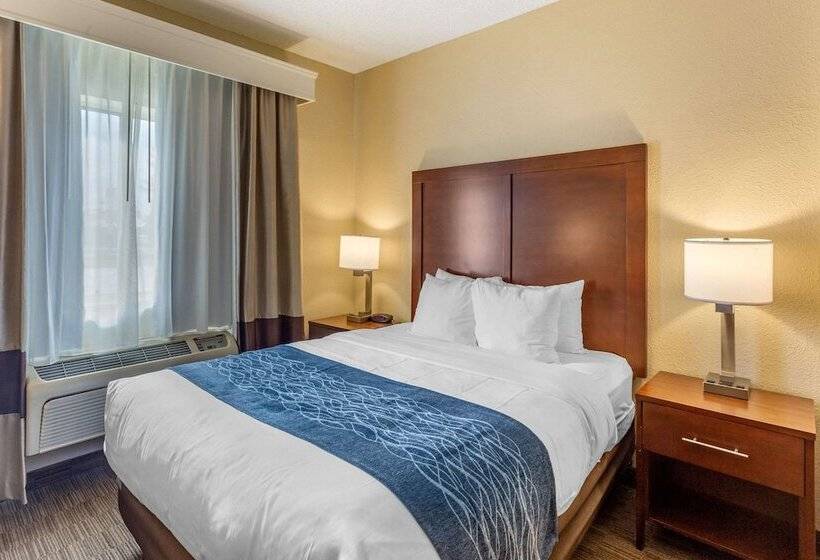 سوییت, Comfort Inn Rockford Near Casino District
