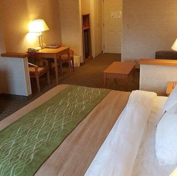 سوییت, Comfort Inn Rockford Near Casino District
