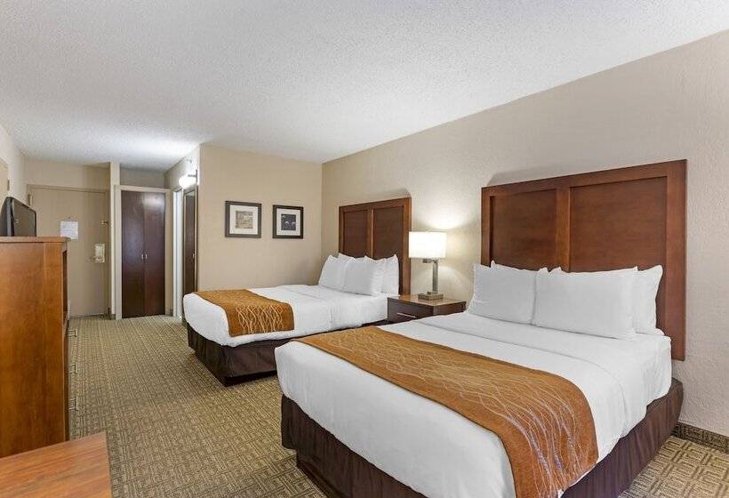 Quarto Standard 2 Camas Casal, Comfort Inn St. Louis  Westport Event Center