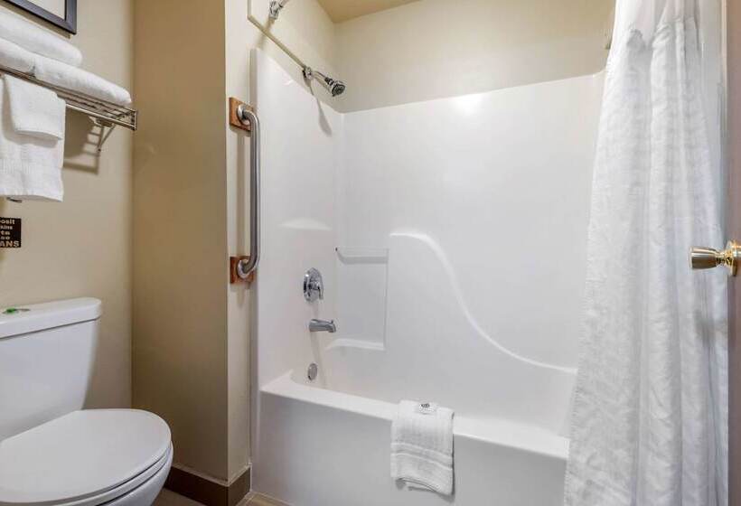 اتاق استاندارد با 2 تخت دوبل, Comfort Inn & Suites Alamosa