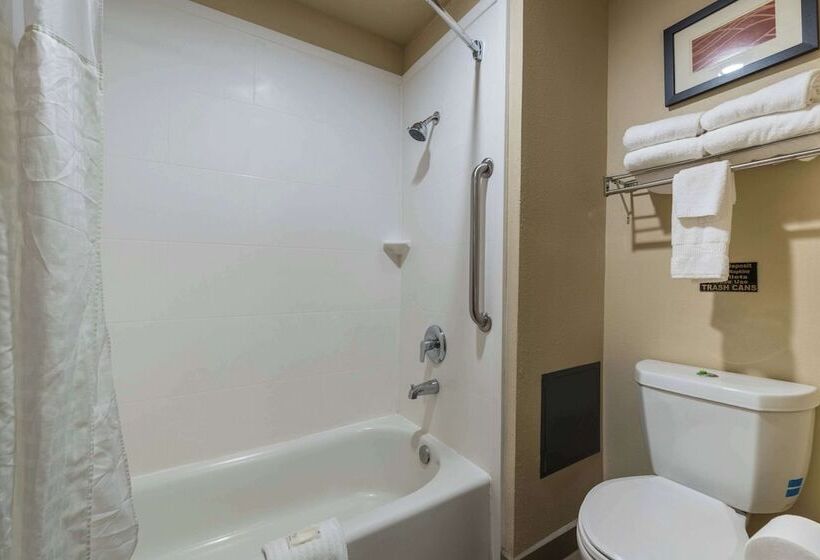 اتاق استاندارد با 2 تخت دوبل, Comfort Inn & Suites Alamosa