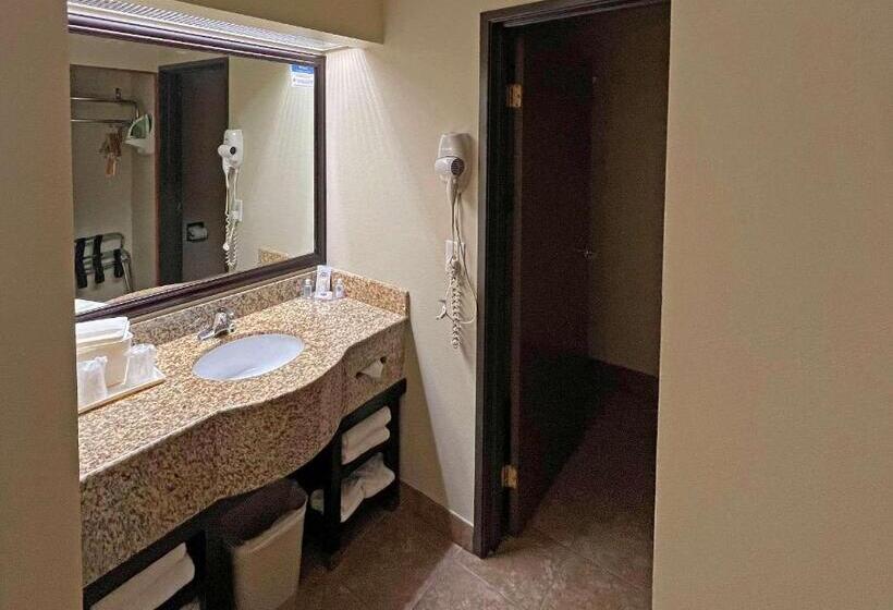 سوئیت با تخت بزرگ, Comfort Inn West Phoenix At 27th Ave And I I0