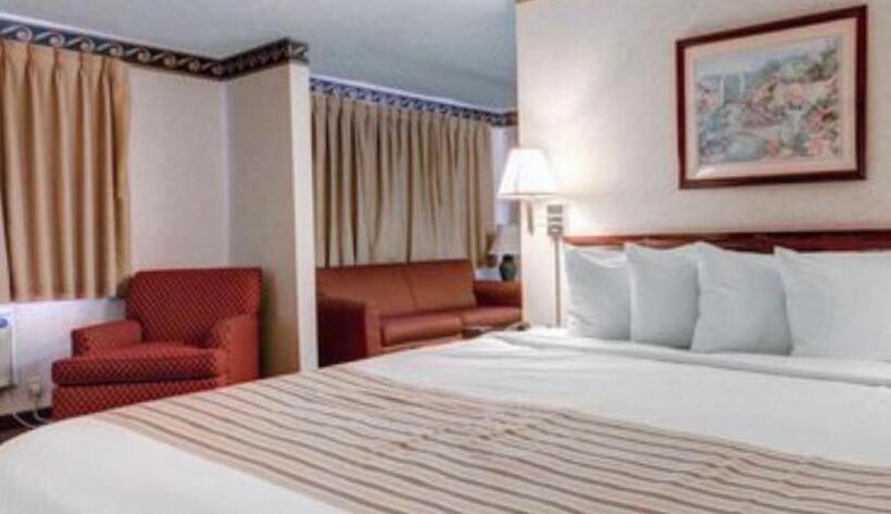 استودیو استاندارد با تخت کینگ, Econo Lodge Inn & Suites