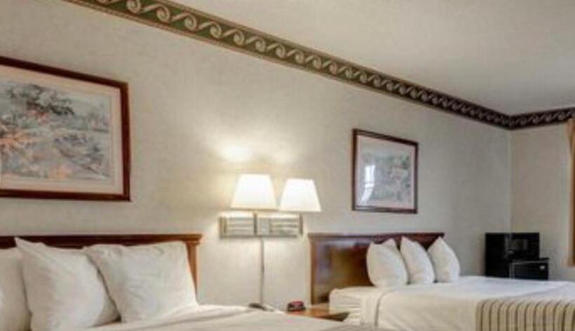 اتاق استاندارد, Econo Lodge Inn & Suites