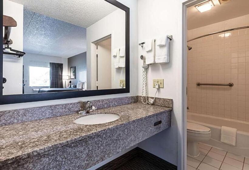 اتاق استاندارد, Econo Lodge Vero Beach  Downtown