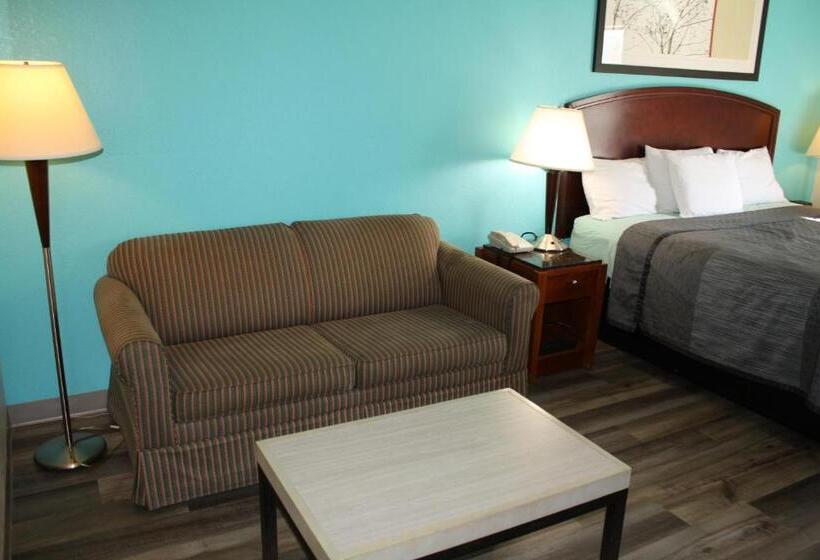 سوئیت جونیور با تخت بزرگ, Executive Inn And Suites Wichita Falls