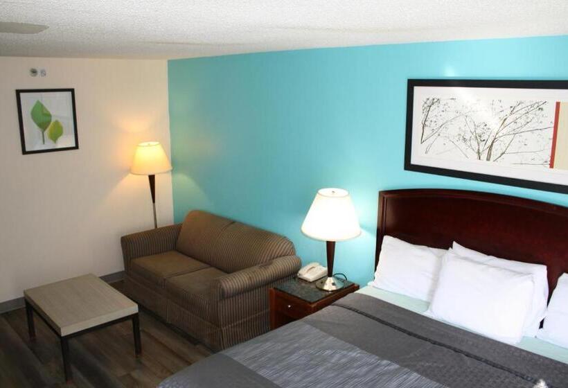 سوئیت جونیور با تخت بزرگ, Executive Inn And Suites Wichita Falls