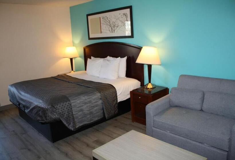 اتاق استاندارد با تخت بزرگ برای معلولان, Executive Inn And Suites Wichita Falls