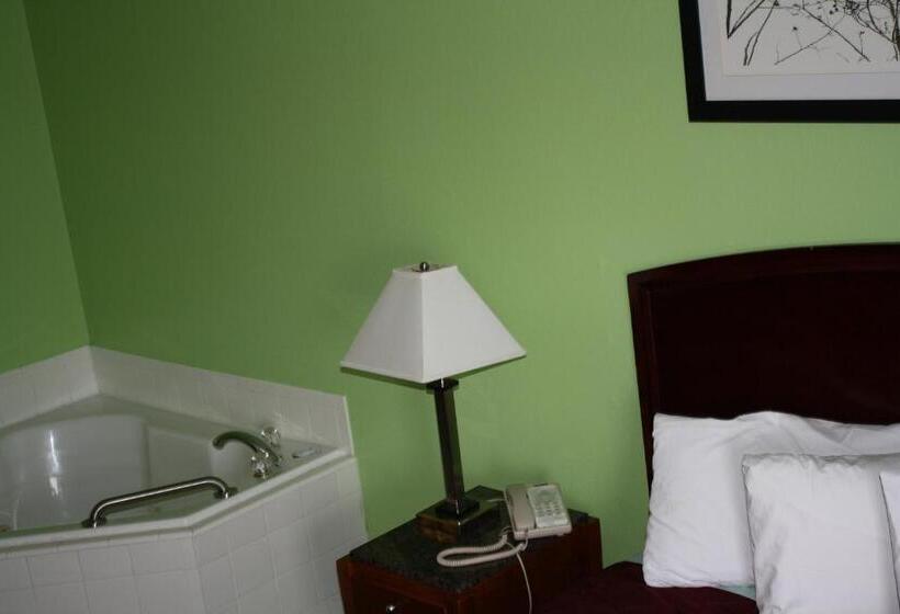 سوئیت با تخت بزرگ, Executive Inn And Suites Wichita Falls