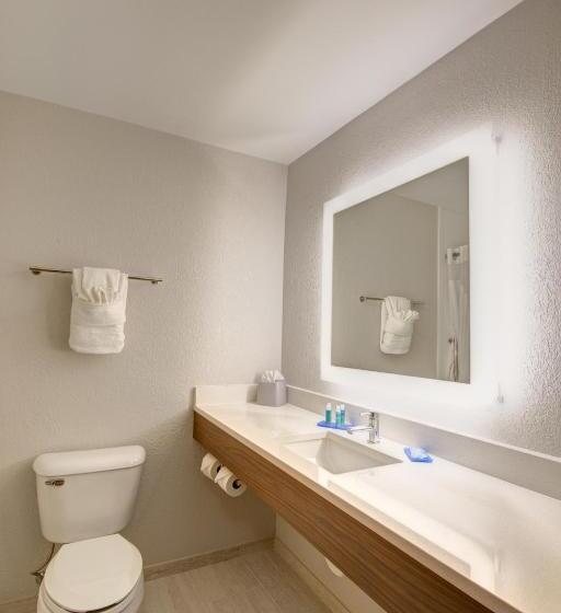 اتاق استاندارد با تخت بزرگ, Holiday Inn Express Columbus South   Obetz, An Ihg