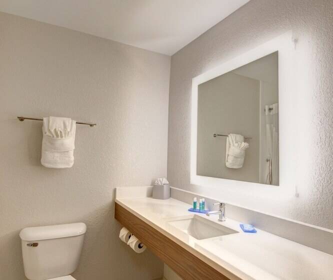 Standard Room, Holiday Inn Express Columbus South  Obetz