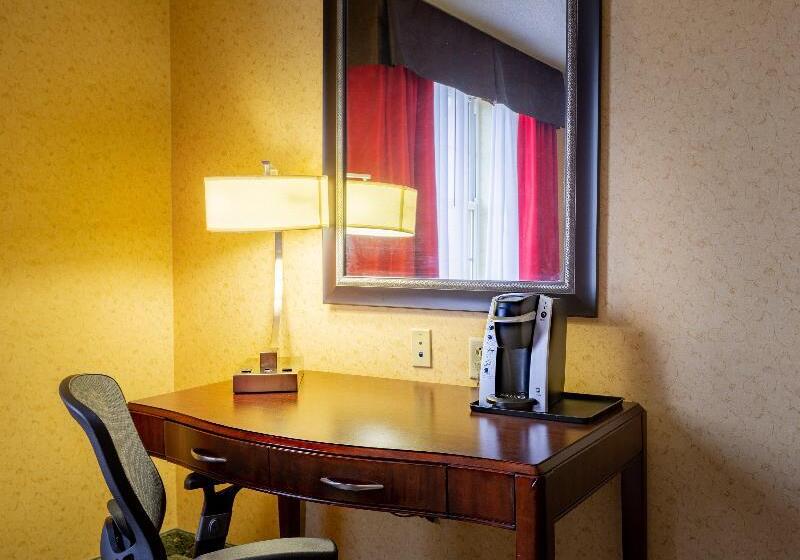 اتاق استاندارد با تخت بزرگ, Holiday Inn Express & Suites Williamsburg, An Ihg