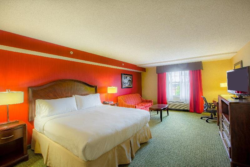 اتاق استاندارد با تخت بزرگ, Holiday Inn Express & Suites Williamsburg, An Ihg