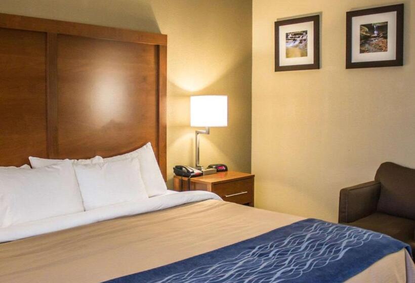 اتاق استاندارد با تخت بزرگ, Quality Inn