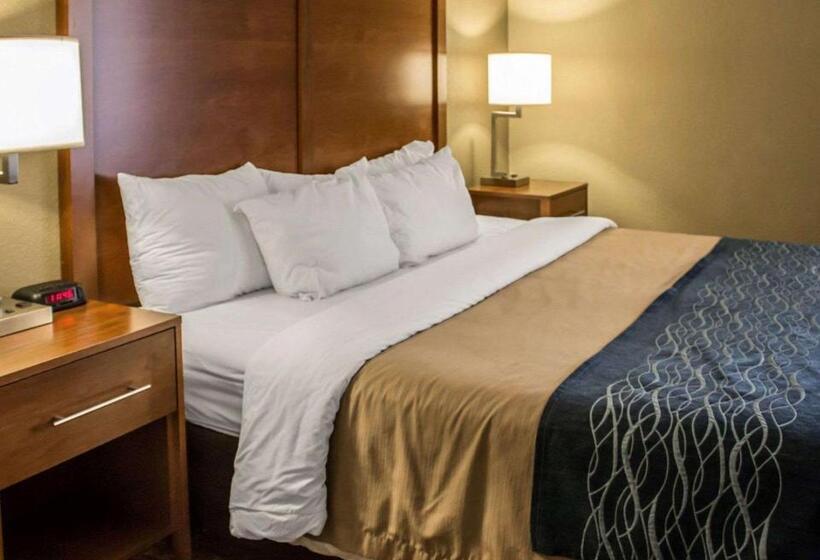 اتاق استاندارد با تخت بزرگ, Quality Inn