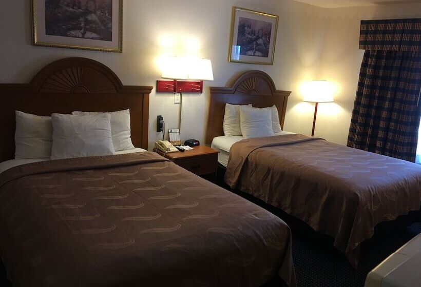 اتاق استاندارد با 2 تخت دوبل, Quality Inn I94 Near Wings Stadium