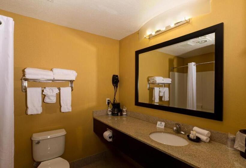 غرفة قياسية سرير كينج, Quality Inn Plant City  Lakeland