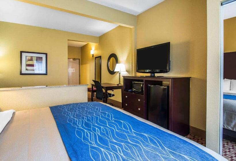 Habitación Estándar Cama King Adaptada para personas con movilidad reducida, Quality Inn Plant City  Lakeland