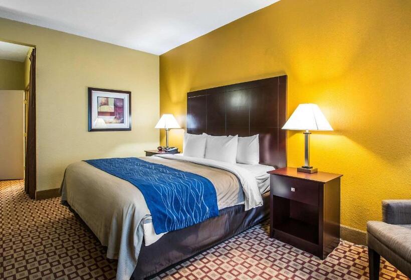 اتاق استاندارد با تخت بزرگ برای معلولان, Quality Inn Plant City  Lakeland