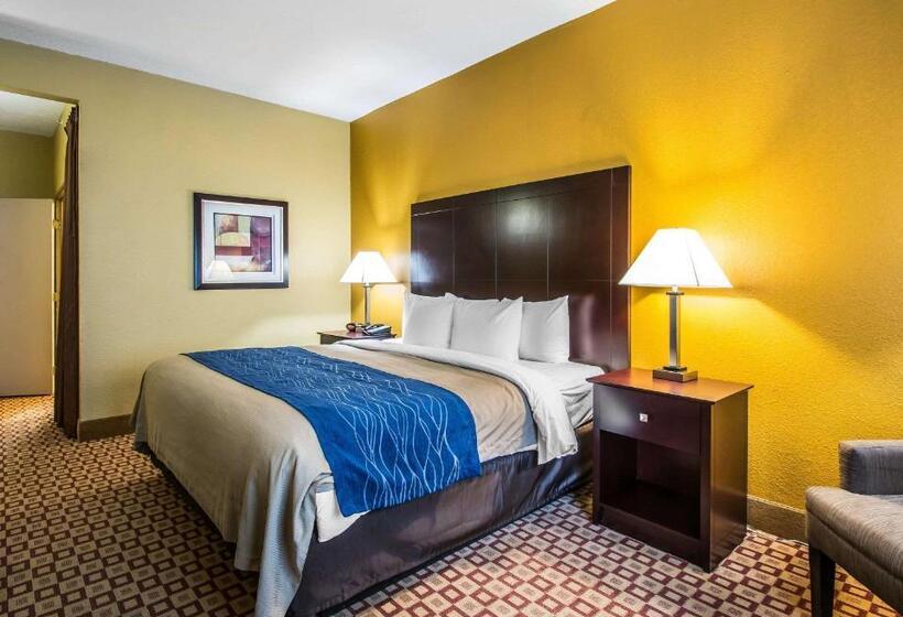 Habitación Estándar Cama King Adaptada para personas con movilidad reducida, Quality Inn Plant City  Lakeland