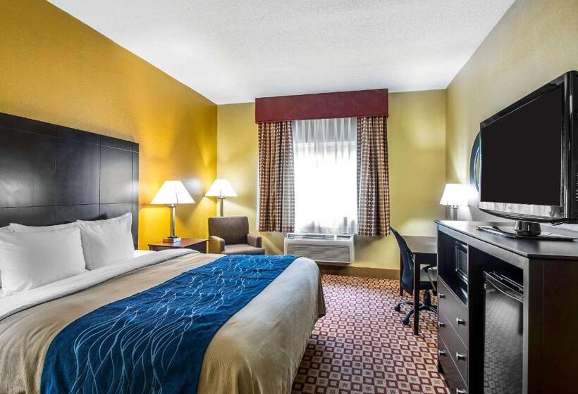 اتاق استاندارد با تخت بزرگ برای معلولان, Quality Inn Plant City  Lakeland