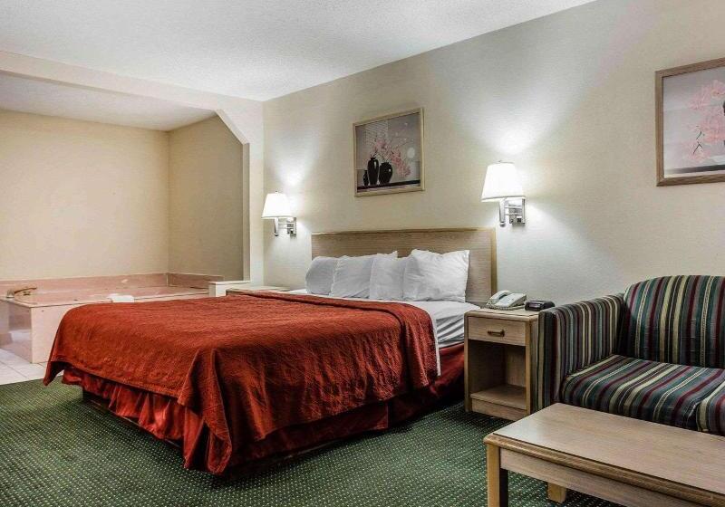اتاق استاندارد با تخت بزرگ, Quality Inn & Suites Stockbridge Atlanta South I 75