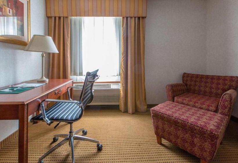 اتاق استاندارد با تخت بزرگ برای معلولان, Quality Inn & Suites University