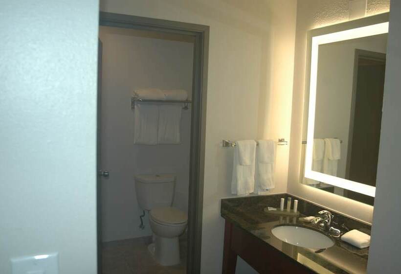 اتاق کلاس بیزنس, Wingate By Wyndham Valdosta/moody Afb