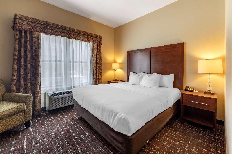 اتاق استاندارد با تخت بزرگ, E Hotel Hong Kong